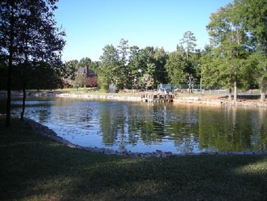 Plantation Lake