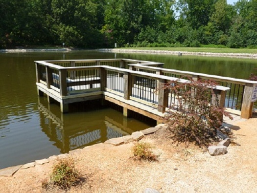 Water Dock